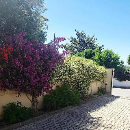 Viadegliaranci16 Apartment Olbia